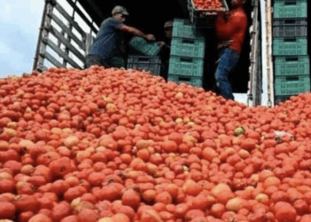 Subiría precio de iPhone pese a librar aranceles