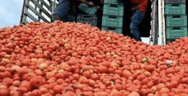 Subiría precio de iPhone pese a librar aranceles