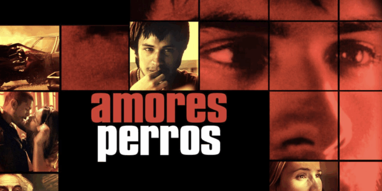 Amores Perros se reestrenará en cines