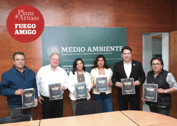 Avanza el diputado federal Ricardo Astudillo