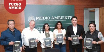 Avanza el diputado federal Ricardo Astudillo