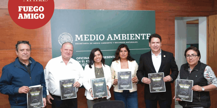 Avanza el diputado federal Ricardo Astudillo