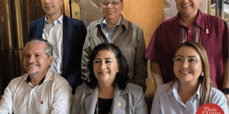 Presidenta de la Comisión de Energía del Senado