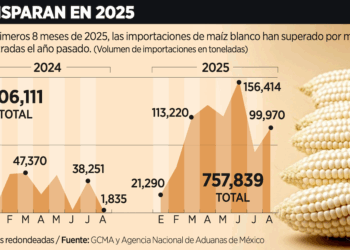 Rupia, en mínimo histórico por la doble presión de EU