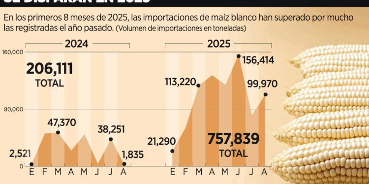 Rupia, en mínimo histórico por la doble presión de EU