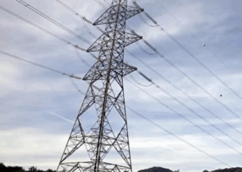 CEO de Oracle ganó 412 mdd ¡en 6 horas!