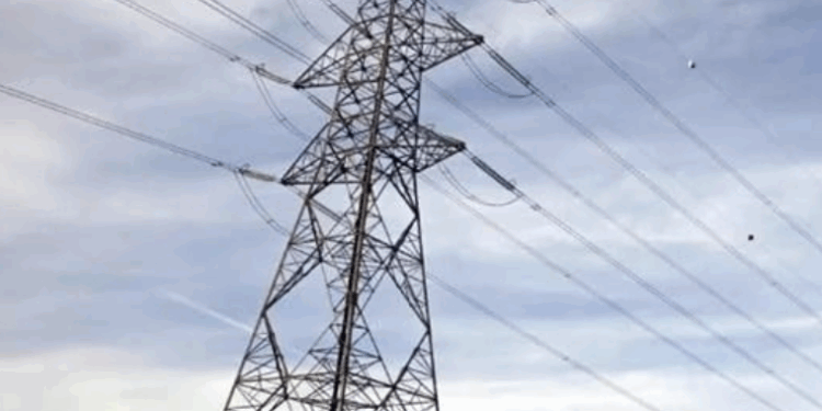 CEO de Oracle ganó 412 mdd ¡en 6 horas!