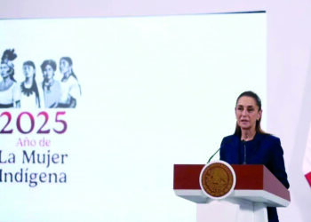 Producirán Defensa y Marina aviones no tripulados