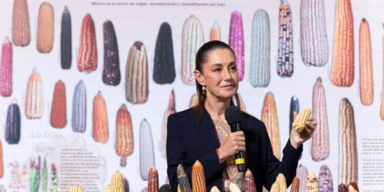 Adán Augusto rechaza acusaciones de evasión