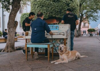 Retoman pianos las calles