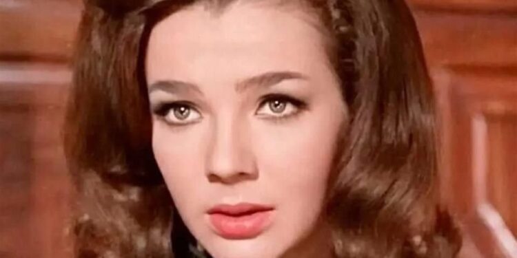 Chainsaw Man es un éxito