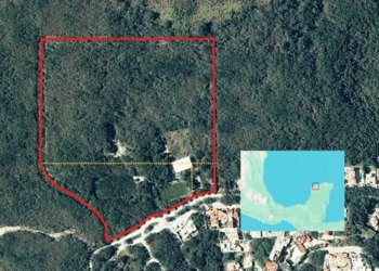 Expropian terrenos a cercanos de ‘Alito’