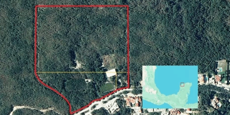 Expropian terrenos a cercanos de ‘Alito’