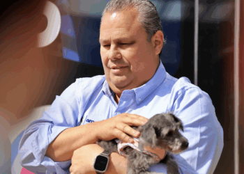 Permitirá acceso de mascotas a Qrobus