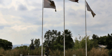 Destaca Martha Elena Soto resultados de la “Ley Kuri”