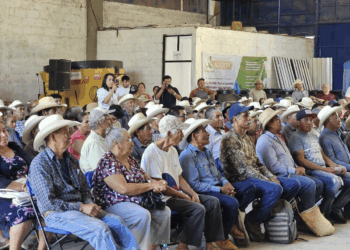Liquidan a 60 % de trabajadores