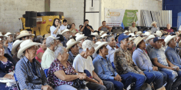 Liquidan a 60 % de trabajadores