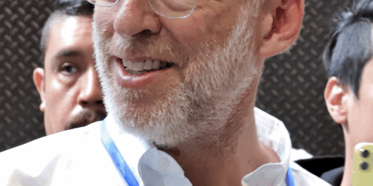 Recuperación natural del bosque en El Madroño avanza