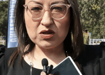 Recuperación natural del bosque en El Madroño avanza