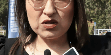 Recuperación natural del bosque en El Madroño avanza