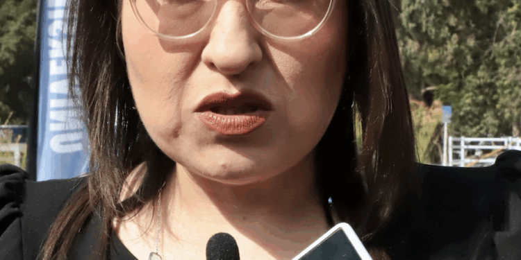 Recuperación natural del bosque en El Madroño avanza