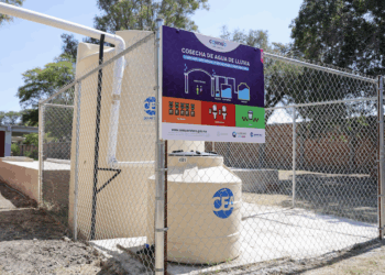 Liquida 51% de su deuda pública