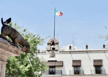 Liquida 51% de su deuda pública