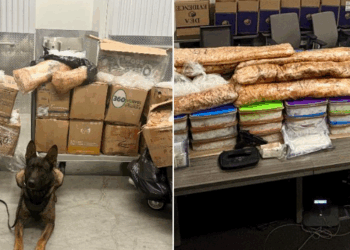 Aseguran en EU más de 900 kilogramos de metanfetamina vinculada al CJNG