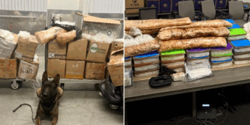 Aseguran en EU más de 900 kilogramos de metanfetamina vinculada al CJNG