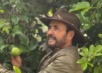 Nuevas fechas Festival de la Huasteca