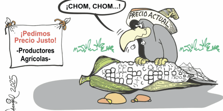 Sin buen precio, no hay maíz