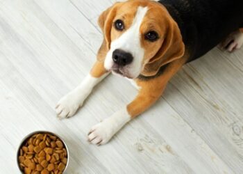 Se suspenden clases en nueve municipios