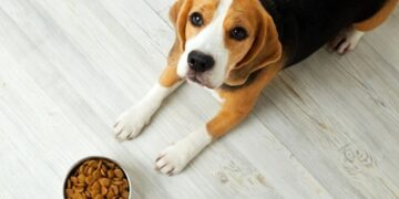 Se suspenden clases en nueve municipios