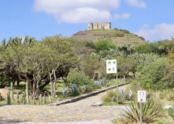 Corregidora obtiene el Sello de Biodiversidad Querétaro en la Zona Arqueológica de El Cerrito