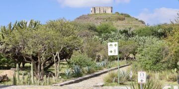 Corregidora obtiene el Sello de Biodiversidad Querétaro en la Zona Arqueológica de El Cerrito