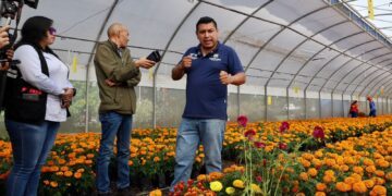 Alista vivero municipal 30 mil flores de cempasúchil, para parques y jardines de la capital