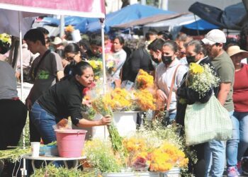 Exigen ambulantes permisos en plazas