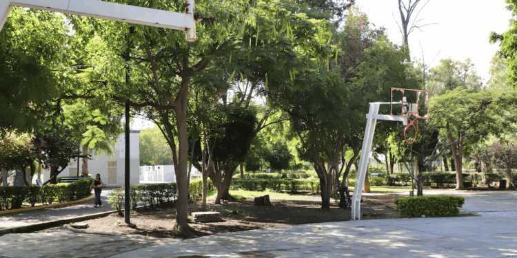 Arquitectos de Querétaro niegan viabilidad de estación en el Centro