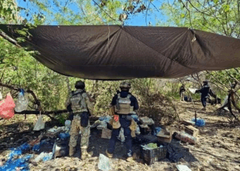 Desmantelan 4 narcocampamentos en zona limonera de Michoacán