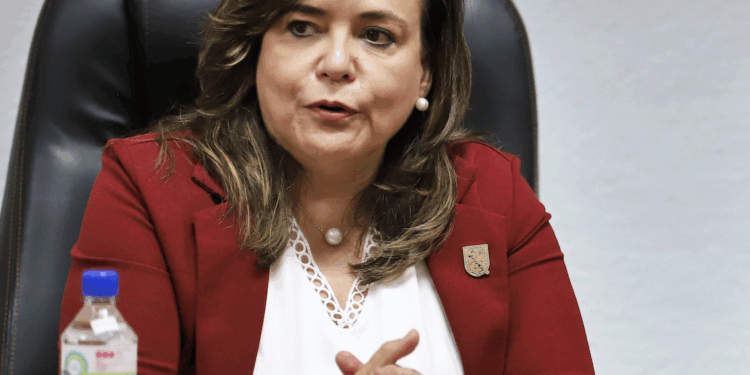 Protegerán la zona del Parque Los Alcanfores