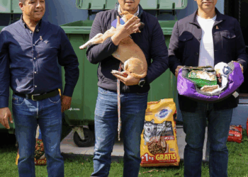 Fortalece Nava estructuras políticas en sus días libres