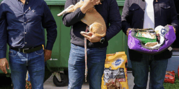 Fortalece Nava estructuras políticas en sus días libres