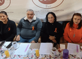 Mezquino, utilizar argumentos sobre la violencia de género con fines políticos y partidistas