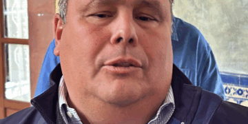 Urgen iniciativas robustas y con impacto real