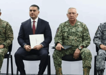 Plan Michoacán avanza con 932 detenidos por delitos de alto impacto