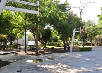 Observatorio Ciudadano respalda decretar Los Alcanfores como Área Natural Protegida