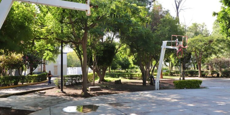 Observatorio Ciudadano respalda decretar Los Alcanfores como Área Natural Protegida