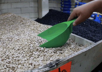 Pierde México 17,530 mdd por evasión fiscal de EU