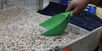 Pierde México 17,530 mdd por evasión fiscal de EU