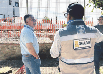 Confirman la tala de 48 árboles en Parque Lineal de Las Hadas para el Tren